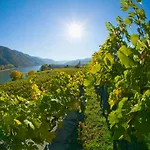 Gartenhotel&weingut Pfeffel 4*