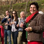 Gartenhotel&weingut Pfeffel Hotel