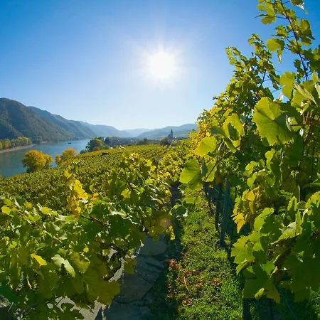 Gartenhotel & Weingut Pfeffel 4*