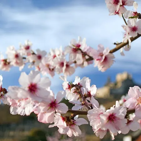 ガルテンホテル ＆ ヴァイングート フェフェル 4* デュルンシュタイン