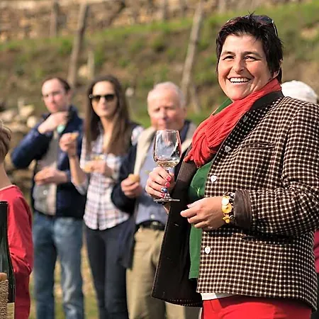 Gartenhotel & Weingut Pfeffel Hotel