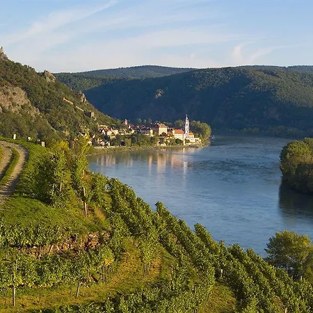 Hotel Gartenhotel & Weingut Pfeffel 4*