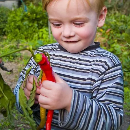 ホテル ガルテンホテル ＆ ヴァイングート フェフェル デュルンシュタイン