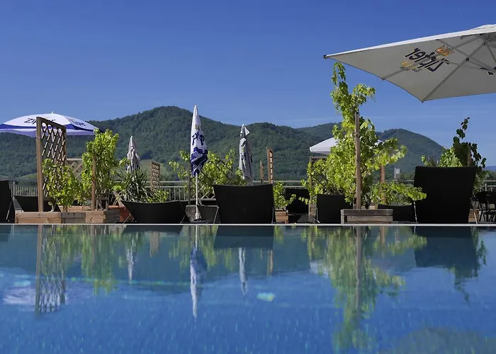 Gartenhotel&weingut Pfeffel Hotel Dürnstein