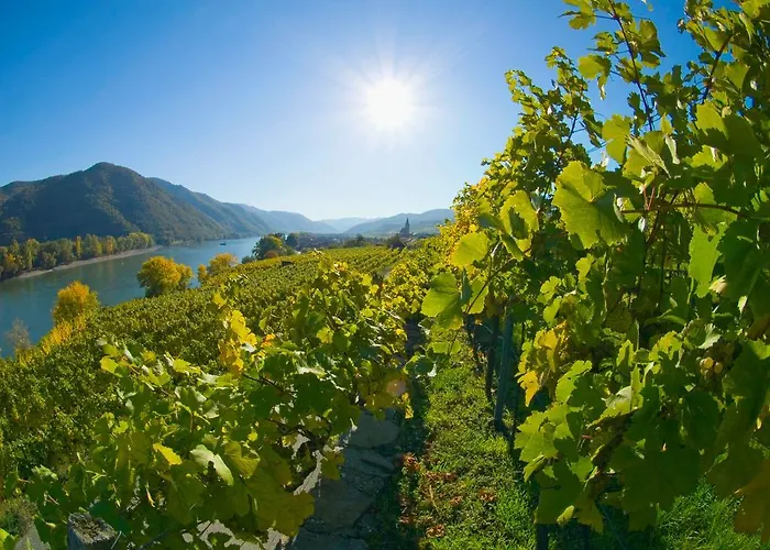 Gartenhotel&weingut Pfeffel 4*