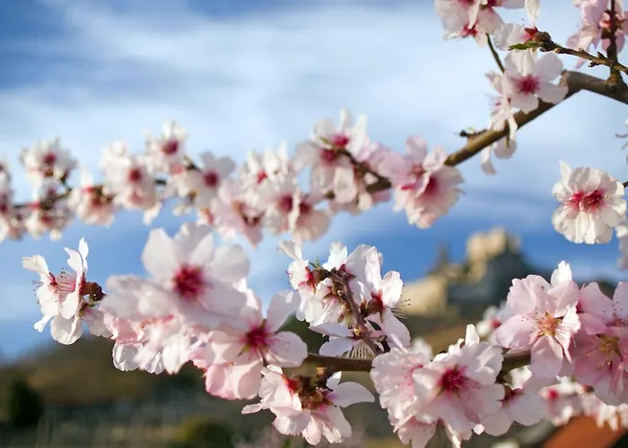 Gartenhotel & Weingut Pfeffel 4* Dürnstein