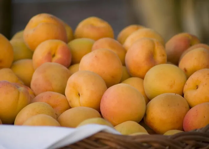 Gartenhotel & Weingut Pfeffel 4* Dürnstein