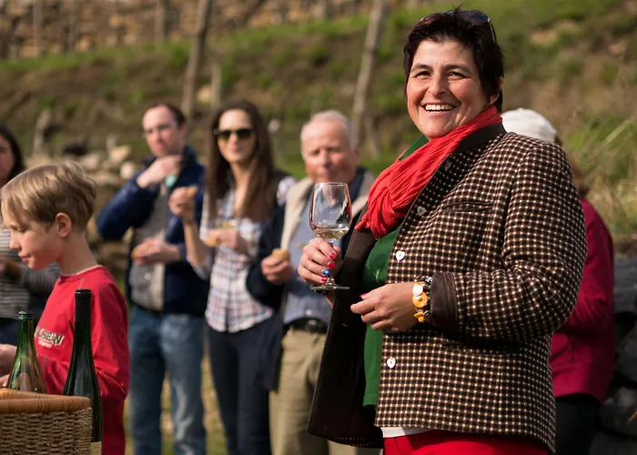 Gartenhotel & Weingut Pfeffel Hotel