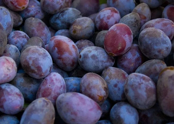 Gartenhotel&weingut Pfeffel Hotel