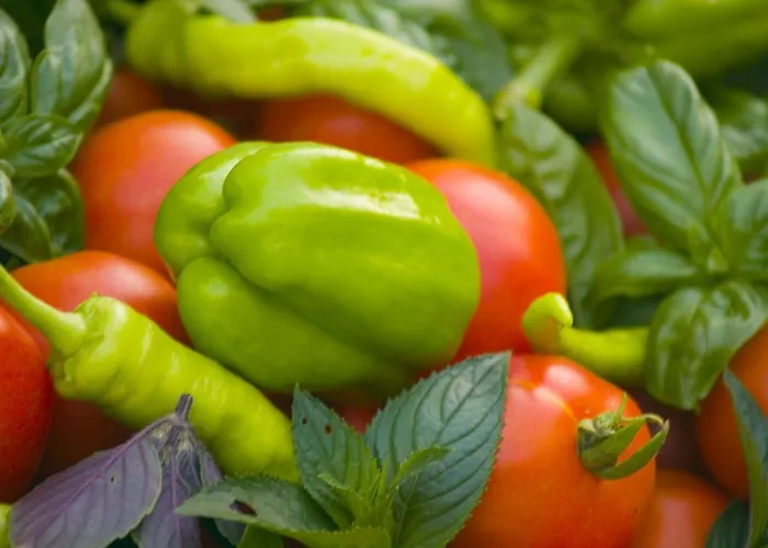 Hotel Gartenhotel&weingut Pfeffel 4*