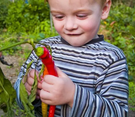 Hotel Gartenhotel&weingut Pfeffel Dürnstein